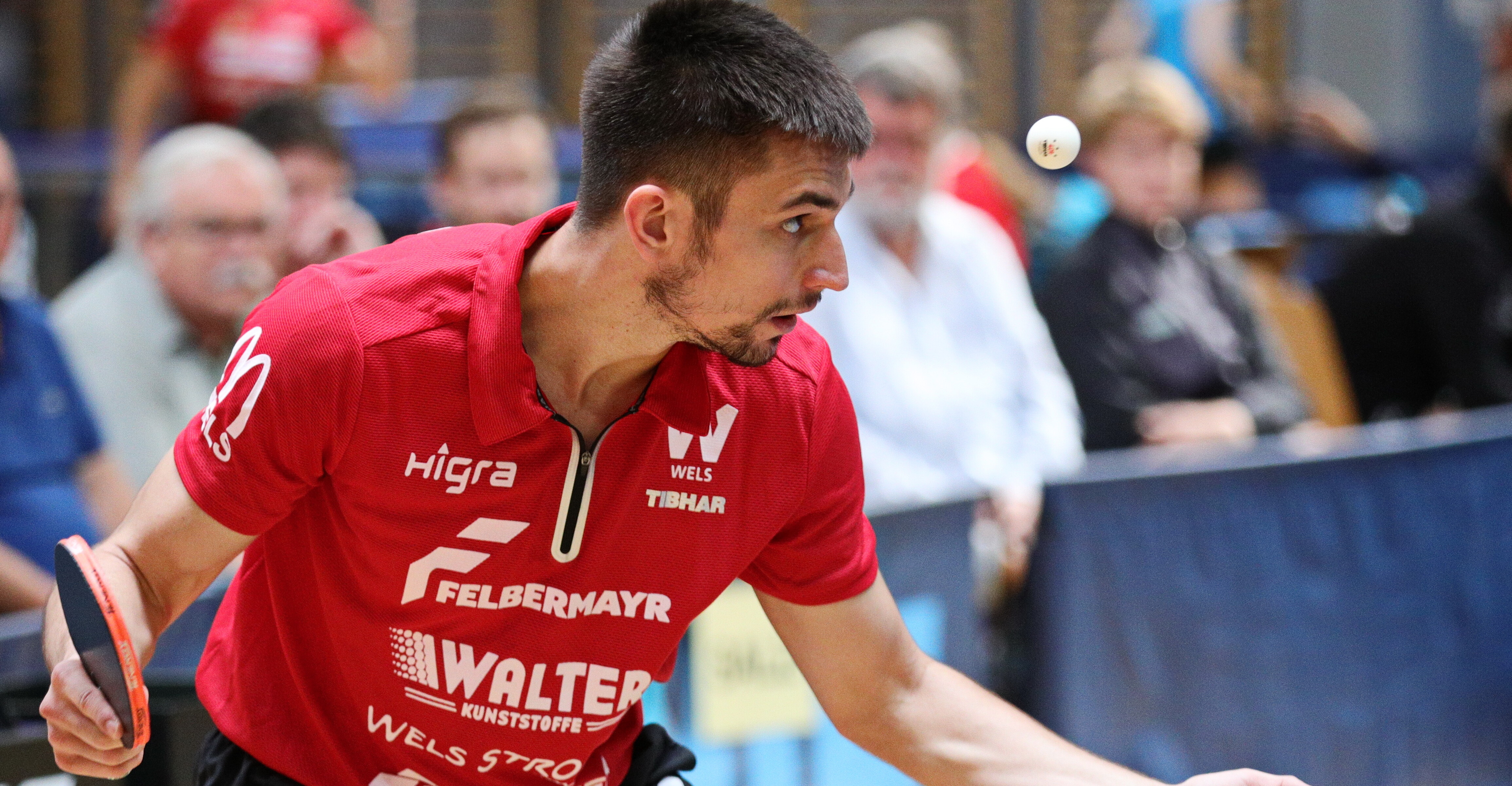Frane Tomislav Kojic