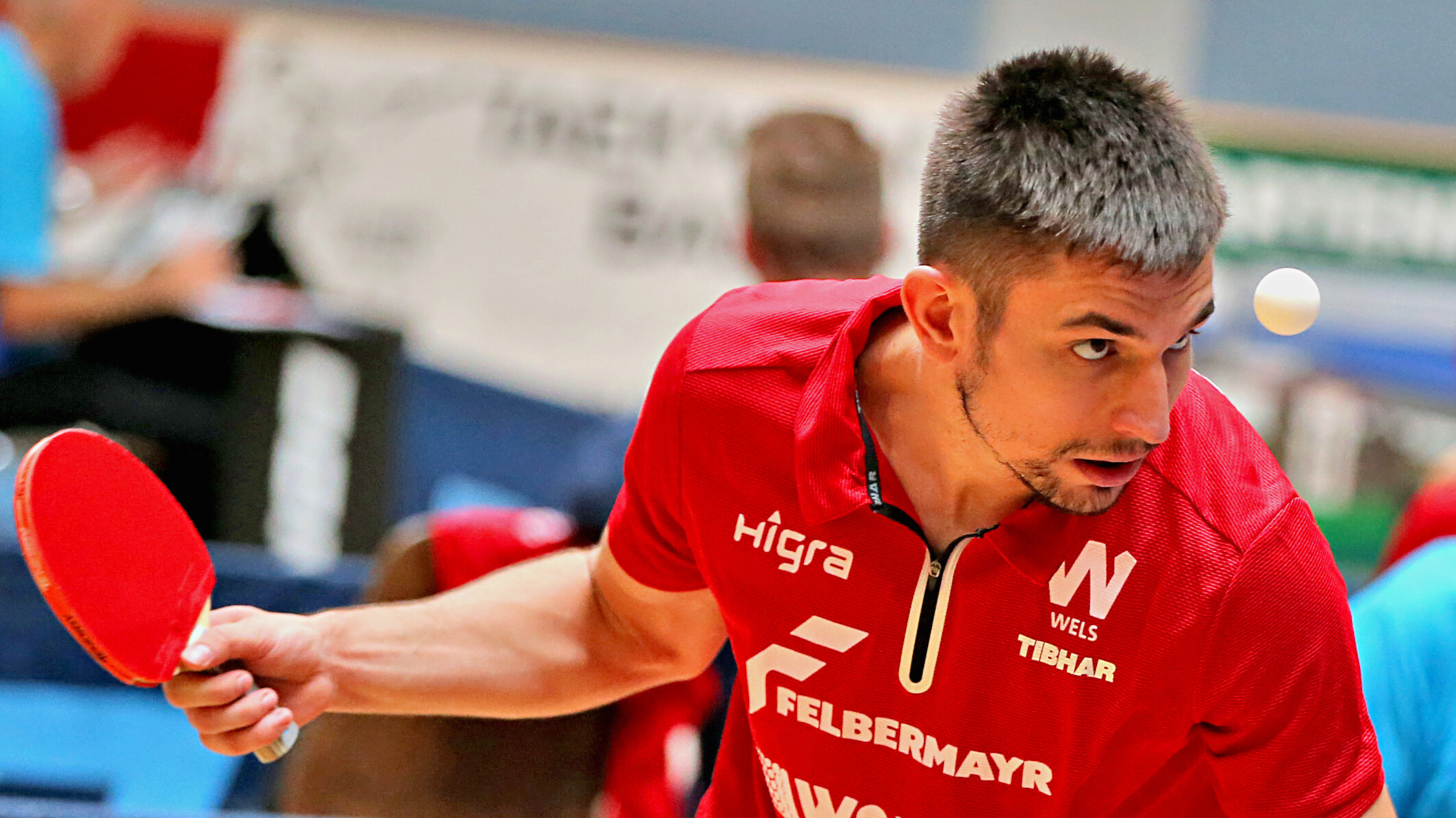 Frane Tomislav Kojic